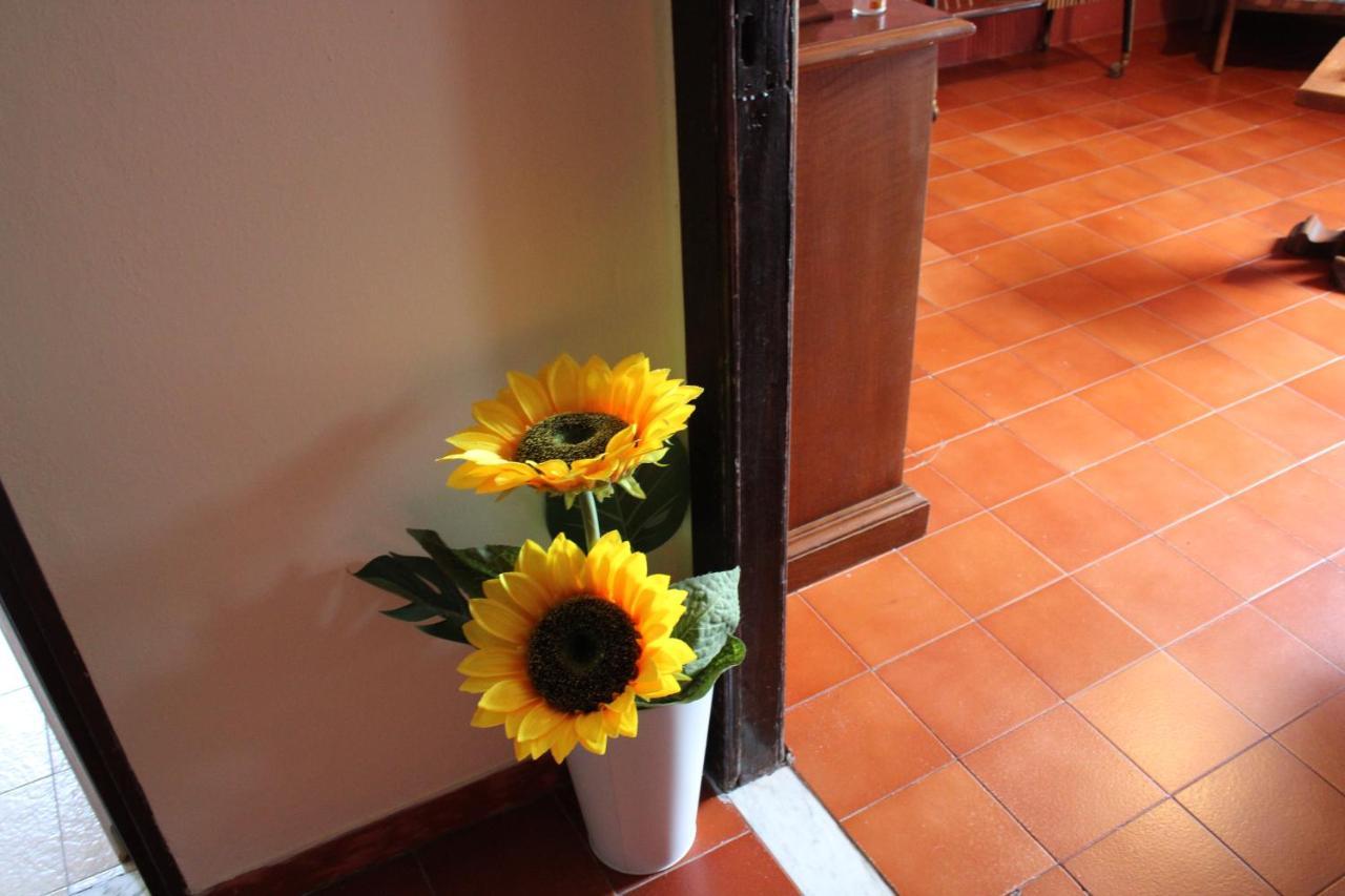 Casa Vacanze Da Mari Poggio  Exteriör bild